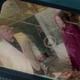 Eleanor Bishop photographed with Wilson Fisk.